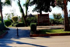 WhatsApp Image 2019-02-20 at 11.19.02 AM(3)_800x600